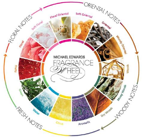 Fragrance Wheel Perfume Classification Chart