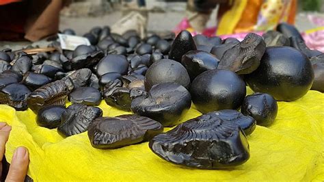 Shaligram Stone Know what is Shaligram from which immense wealth comes ...