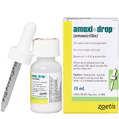 Amoxi Drop (Amoxicillin) 15ml | On Sale | EntirelyPets Rx