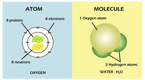 Difference Between Atom And Molecule - Nauger