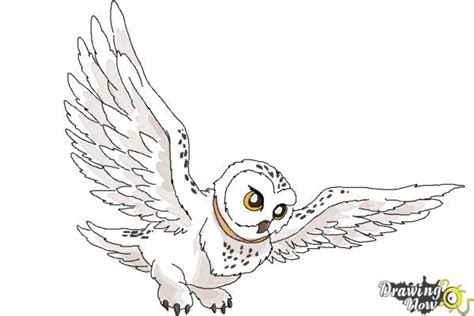 How to Draw Hedwig from Harry Potter - Step 11 | Harry potter drawings, Harry potter drawings ...