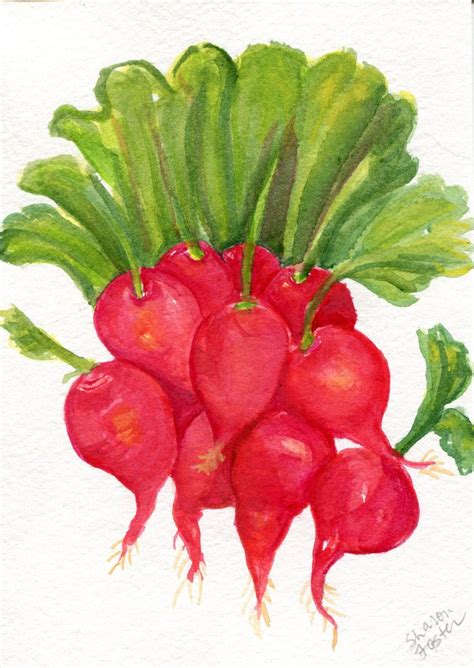 Radishes Watercolors Paintings Original 5 X 7 Kitchen Wall | Etsy | Watercolor paintings ...