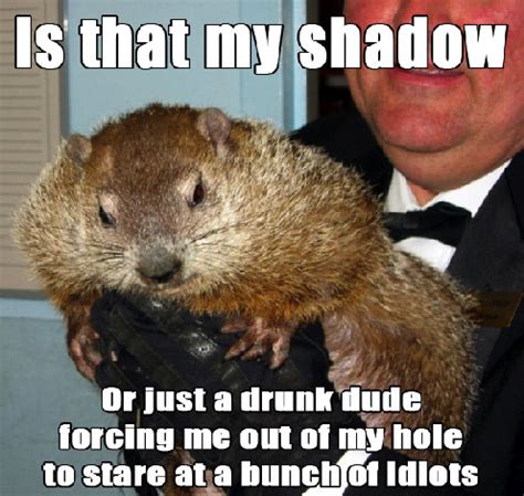 Pin by Glen Stewart on Groundhog Day | Funny pictures, Happy groundhog ...