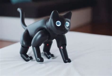 CES 2020: Robotic cats are taking over, from artificially intelligent ...