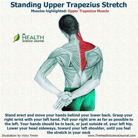 Http://www.facebook.com/DiMartinoChiropracticCenter | Trapezius stretch ...