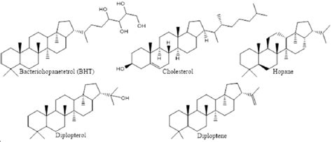 Examples of hopanoids as the functional analogs of cholesterol in... | Download Scientific Diagram