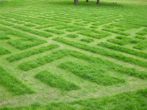 4 Popular Lawn Mowing Patterns to Make Your Yard Appealing