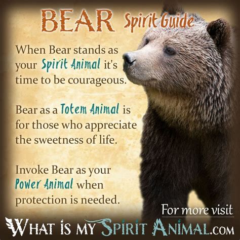 Bear Symbolism & Meaning | Spirit, Totem & Power Animal