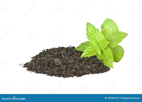 Black Mint Tea stock photo. Image of aroma, nature, mint - 20786772