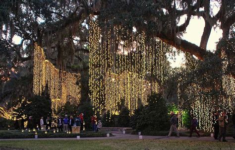 Lights in trees as Brookgreen Gardens celebrates Nights of a Thousand Candles. NO LINK Hanging ...