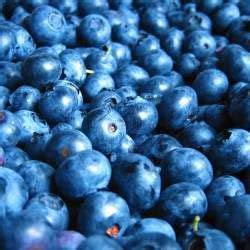 10 ushqimet me te mira qe ka ber natyra per njeriun Blueberry Video, Blueberry Fruit, Blueberry ...