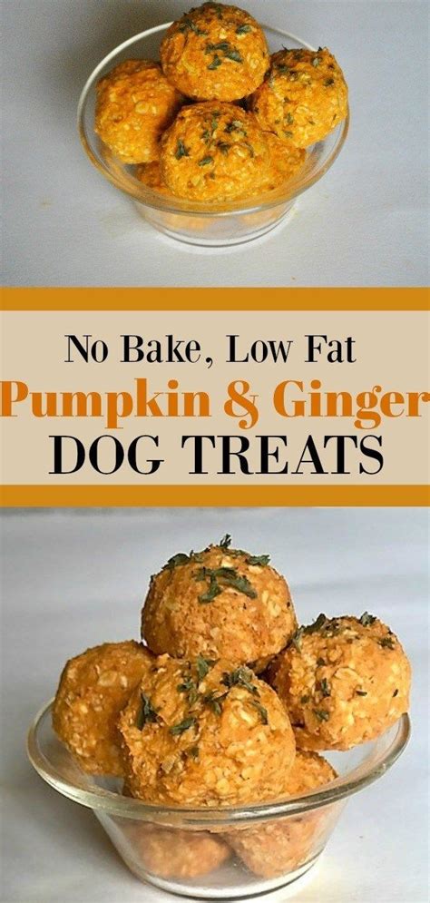 Low Calorie Dog Treats Homemade Recipe : Diy Low Calorie Dog Treats / Restaurant quality gourmet ...