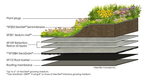 Extensive Green Roof Design