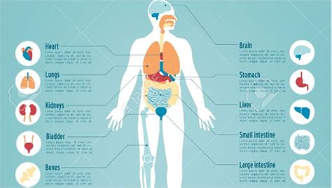 Printable Ideal Body Weight Chart