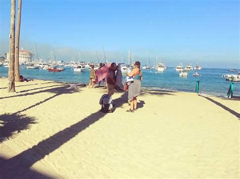 Catalina beaches to get new sand for summer | The Catalina Islander