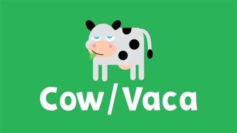 Word of the Week: Cow (Vaca) | Dot's Spot | PBS LearningMedia