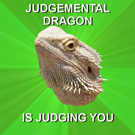 Bearded Dragon Meme by Easter-Hare on DeviantArt