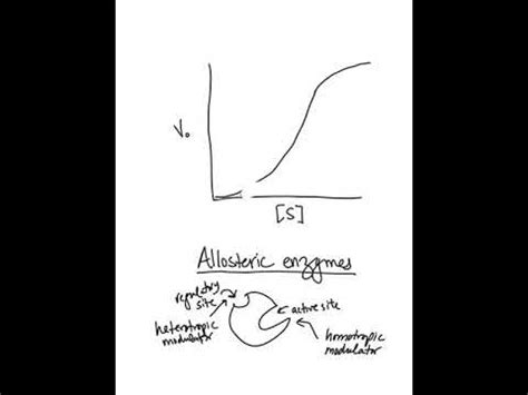 Allosteric enzyme graphs - YouTube