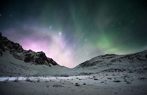 Northern lights livestream to birghten your mood | Well+Good