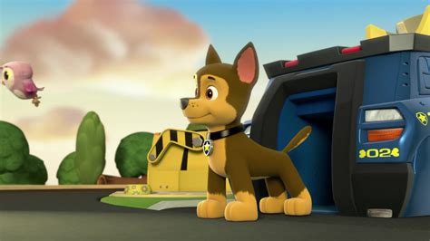 Watch Paw Patrol Season 1 Episode 37 : Pups Save A Hoot - Watch Full Episode Online(HD) On JioCinema