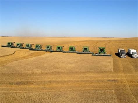 Wheat Farming Images - Farming Mania