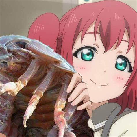 Isopod memes are the freaking worst | LOVE LIVE! Amino