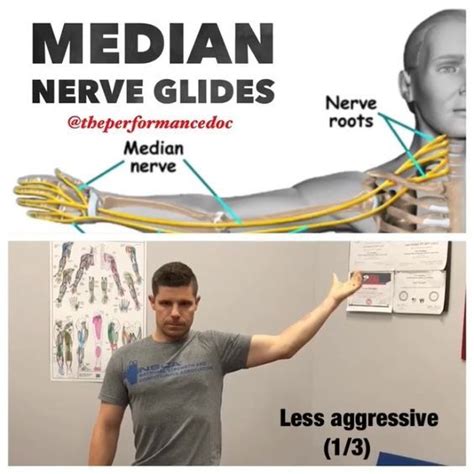 💥Median Nerve Glides💥 Numbness and tingling in the thumb and index finger is sometimes caused by ...