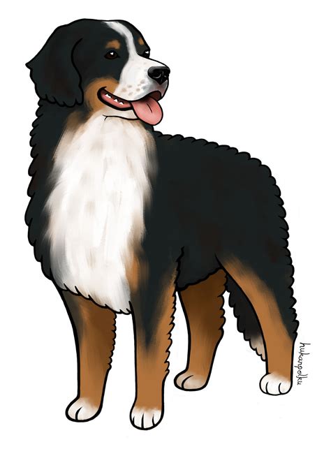 Bernese Mountain Dog PNG, Vector, PSD, and Clipart With - Clip Art Library