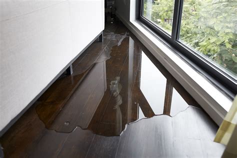 How To Repair Water Damaged Wood Floors: A DIY Guide - Hardwood Bargains Blog | Designer Floor Store