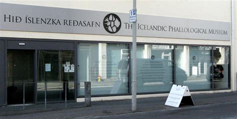 The Icelandic Phallological Museum - The Iceland Museum Guide