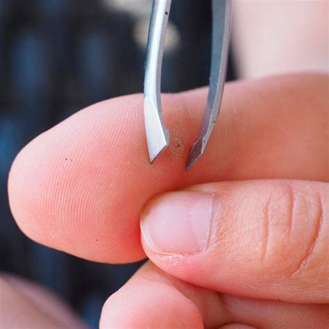 5 Home Remedies to Remove a Splinter — The Family Handyman