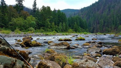 Estacada' Oregon. Clackamas river. • /r/pics | Estacada oregon, River ...