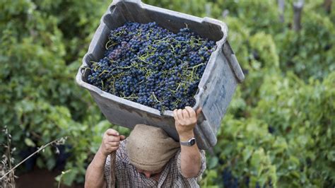 America’s Love Affair With Madeira Wine