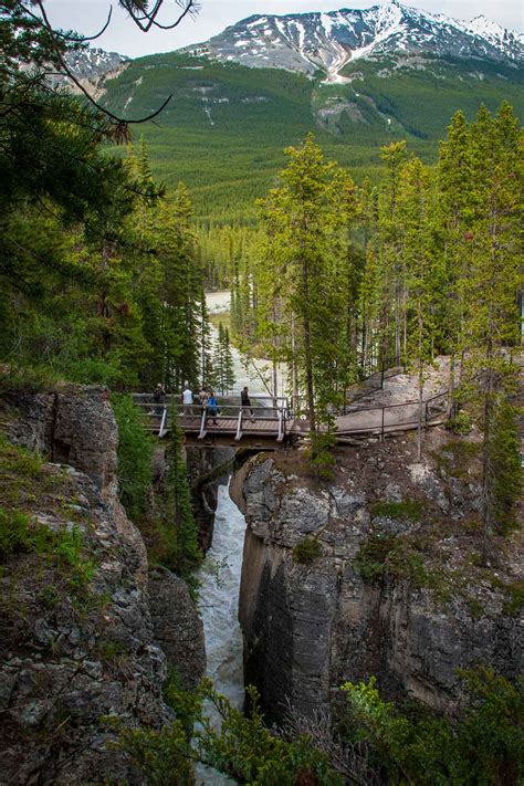 Sunwapta Falls | Explore Jasper National Park Alberta Canada