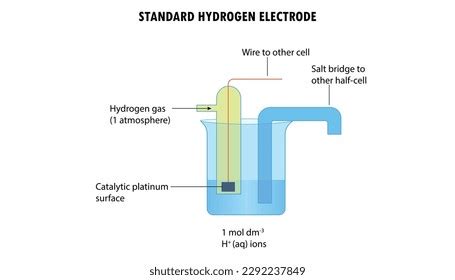 Diagram Standard Hydrogen Electrode Stock Vector (Royalty Free) 2292237849 | Shutterstock