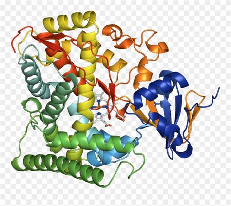 An Example Crystal Structure Of An Enzyme From The Clipart (#2918714) - PinClipart