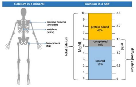 Normal Calcium Levels | UCLA Health