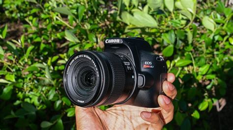 Canon Rebel SL3 vs SL2 - Comparison Chart - Sample Photos