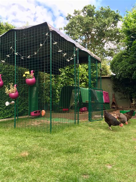 Walk in Chicken Run | Large Outdoor Chicken Enclosure