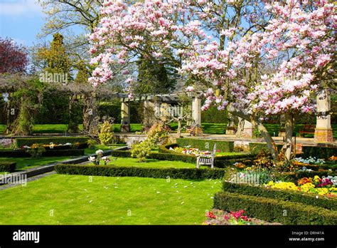 English garden in Spring Stock Photo - Alamy