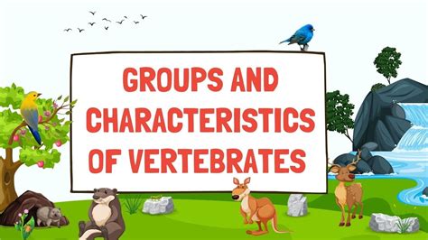 Groups of Vertebrates|Groups and characteristics of vertebrates|Classification of vertebrates ...