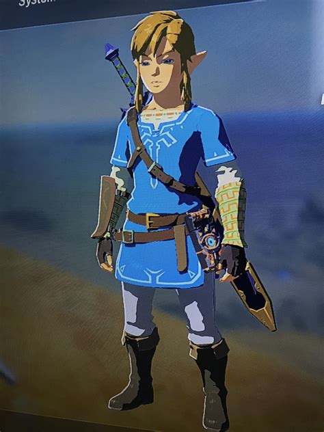 Does anyone else play wearing just the Champion's Tunic, like if it were a traditional Zelda ...