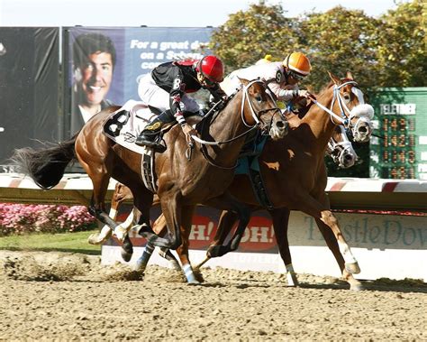 Best of Ohio results from ThistleDown on Saturday - cleveland.com