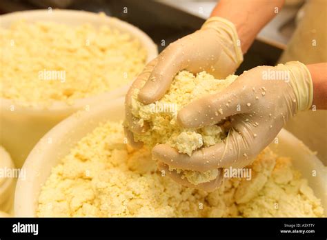 Curds and whey mixed by hand in cheese making Stock Photo - Alamy