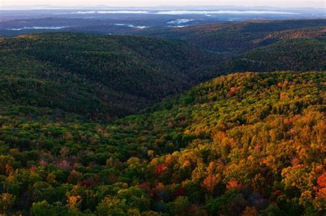 an aerial view of the mountains and trees with fall foliage in the foreground, looking down on ...
