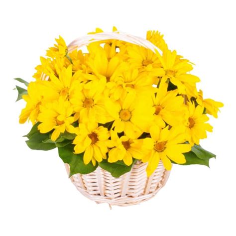 Yellow Daisies Basket Flower Delivery Corunna ON - LaPier's Flowers & Gifts