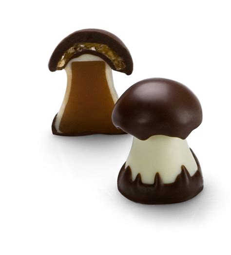 Chocolate Gift Box, Mushrooms – Chocolat Michel Cluizel