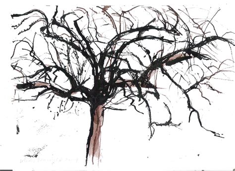 Thorn tree, Richmond Park, ink | Drawing London