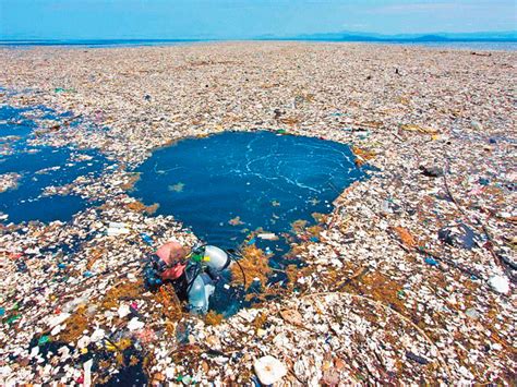 The Dubai connection to cleaning the Great Pacific Garbage Patch | Environment – Gulf News