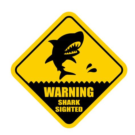 40+ Shark Warning Sign Background Stock Illustrations, Royalty-Free ...